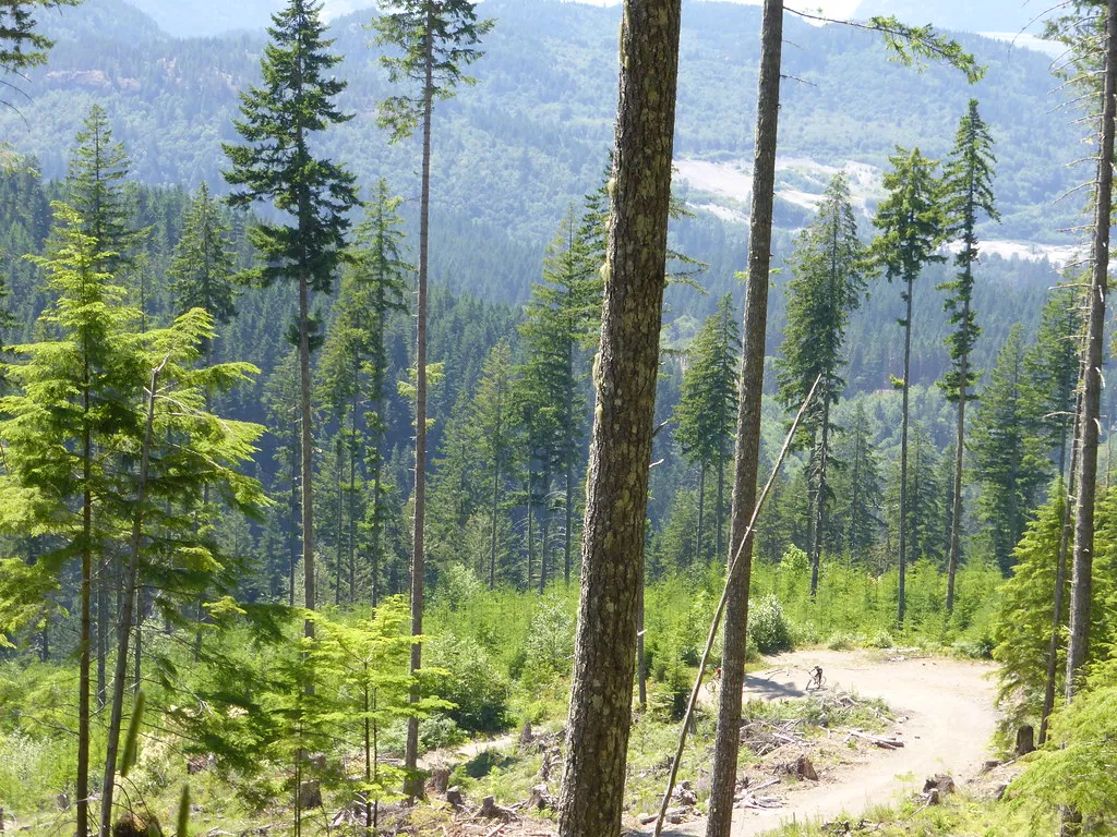 Baking trail day