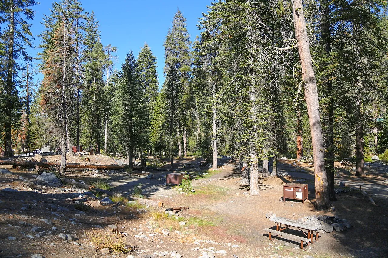 Lodgepole is a large campground with a variety of sites that are walking distance from the market, visitor center and hiking (f0f06d36-1dd8-b71b-0b74-8131d1b67b64)