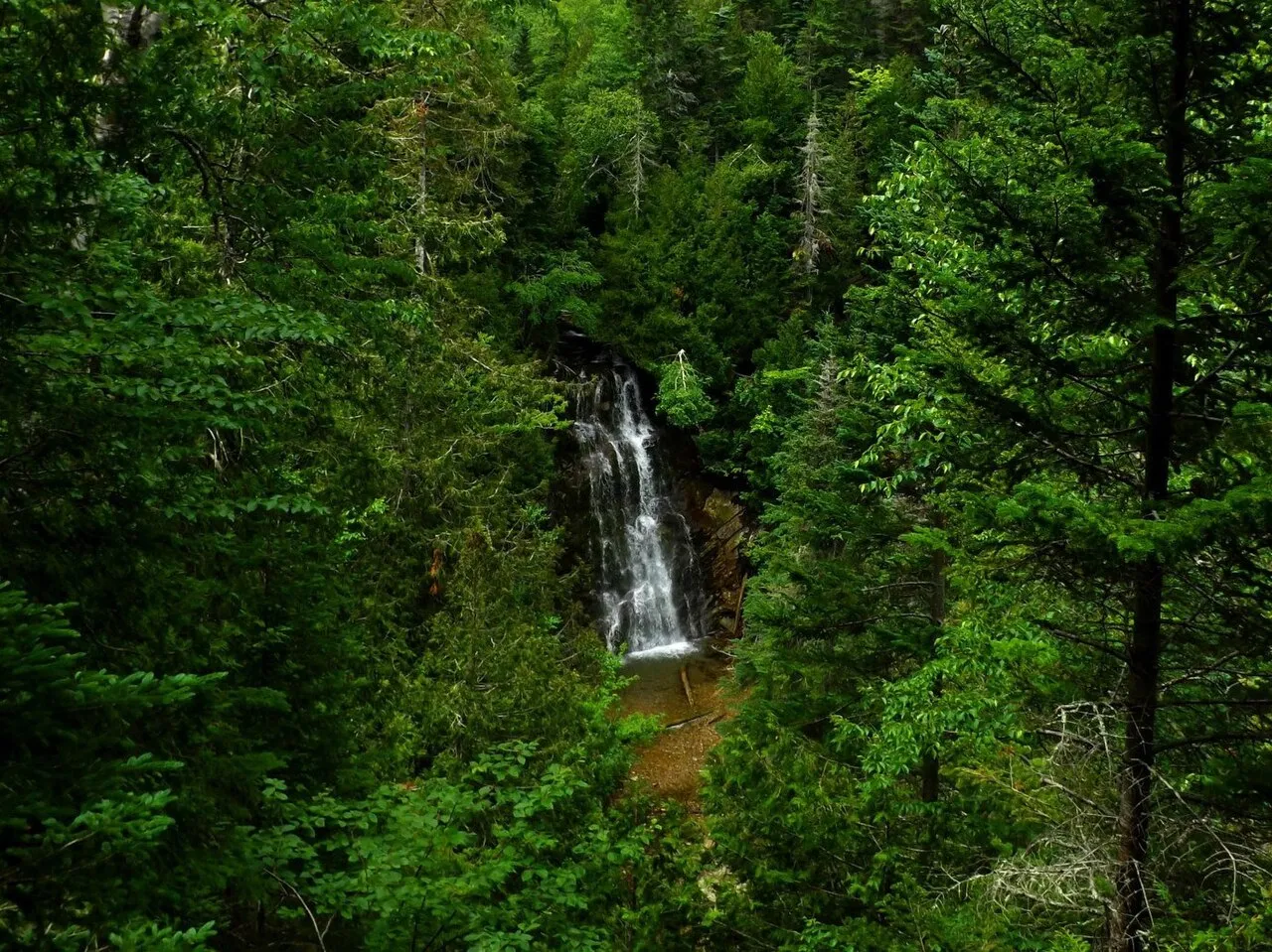 View of waterfall on Ruisseau du Cap-des-Rosiers, taken from "La Chute" hiking trail, Forillon National Park, Canada.
