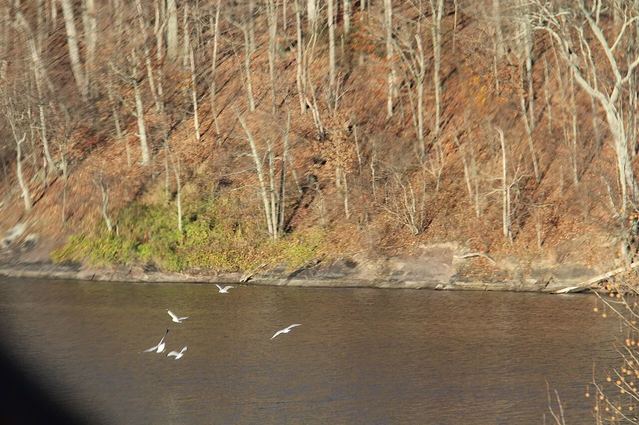 Raystown lake Region late Fall