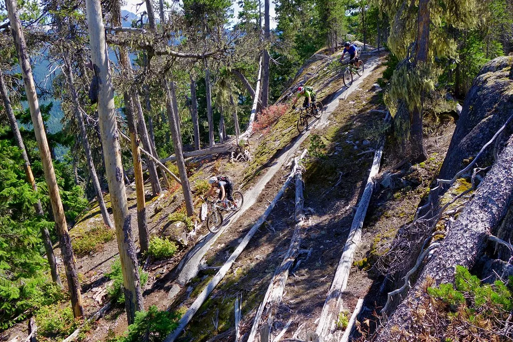 There is more than the bike park in Whistler