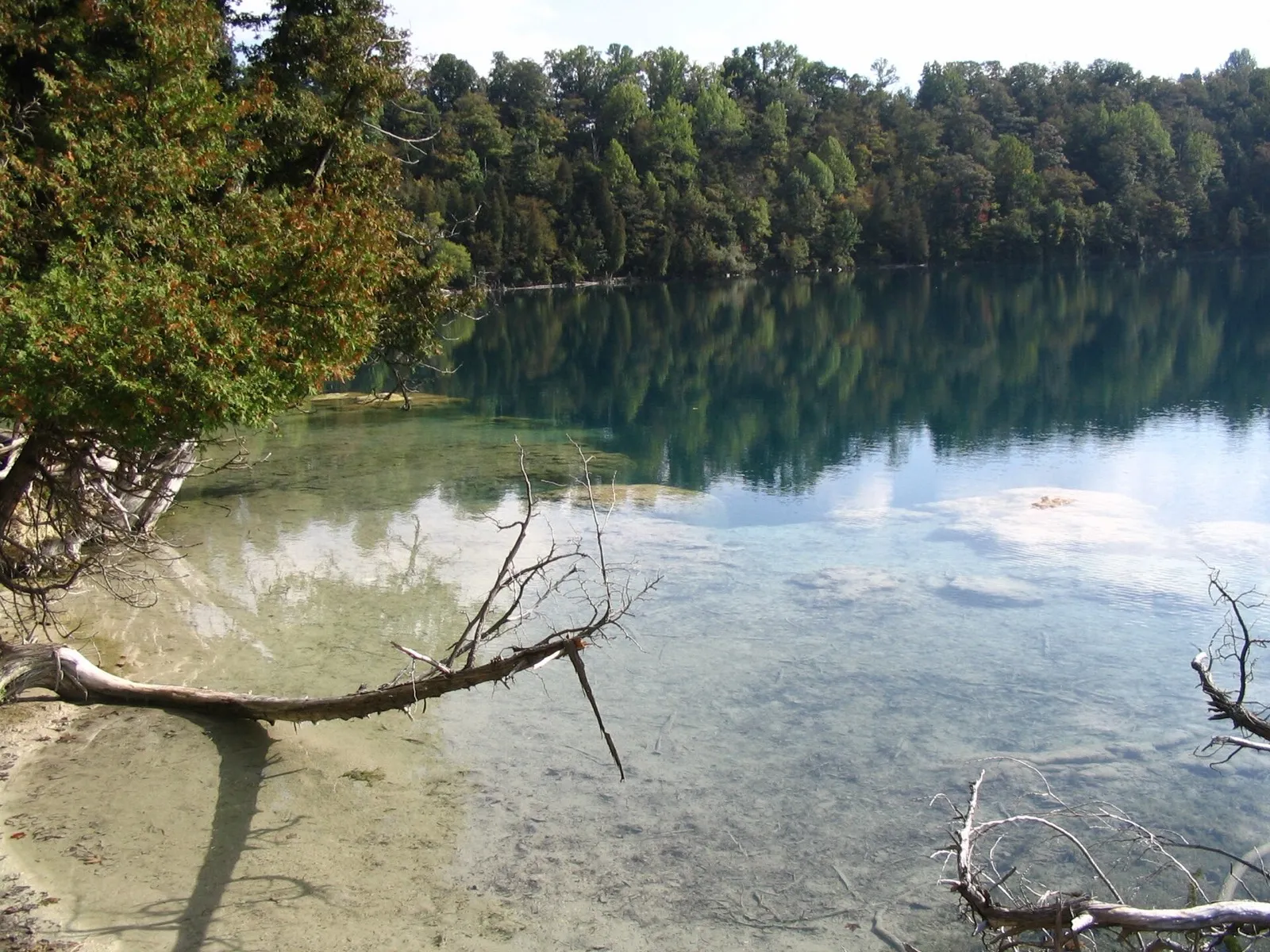 Turquoise shallows of Green Lake framed by cedars