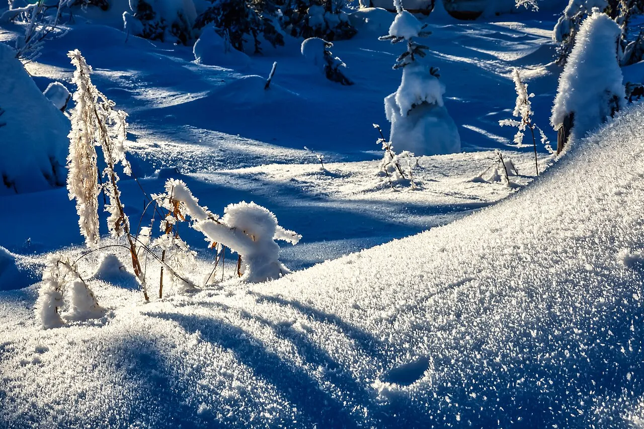 Sun Peaks Ski Resort...incredible snow crystals (sustained cold weather)