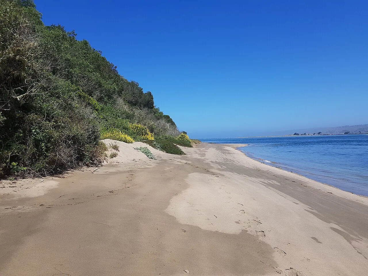Sandy beach under a clear blue sky with steep coastal shrub on the left, calm waters on the right.