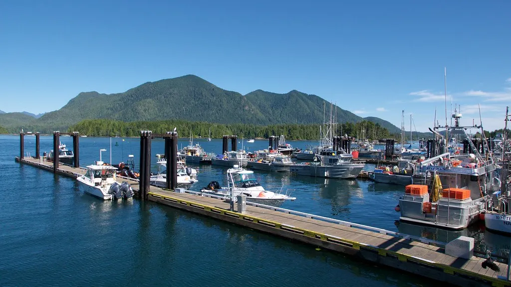 Tofino Seas