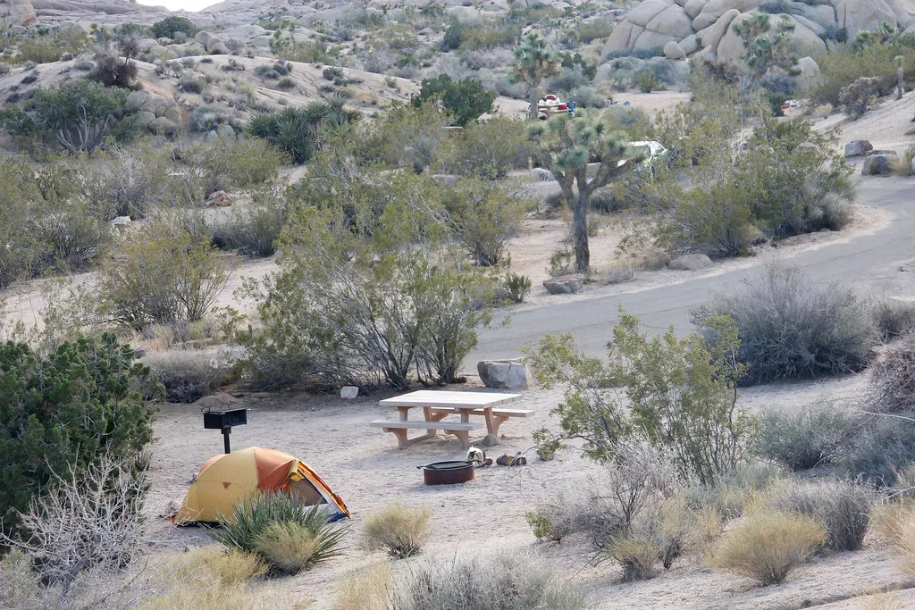 Jumbo Rocks Campground