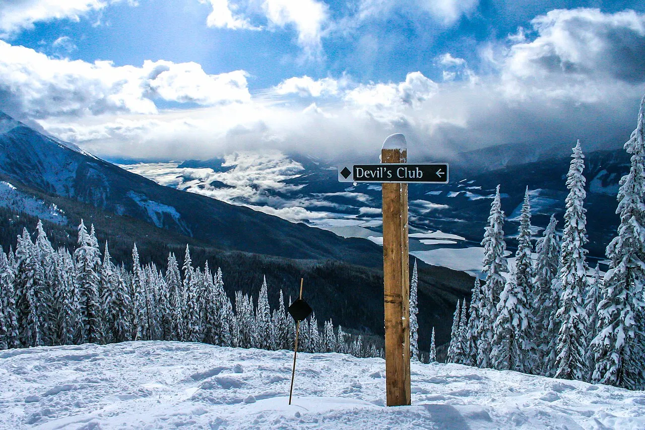 A day's skiing at spedtacular Mt Revelstoke - Noth Americas biggest vertical drop at 1713m (5620 ft) - the buried trees appear like snow ghosts - ()