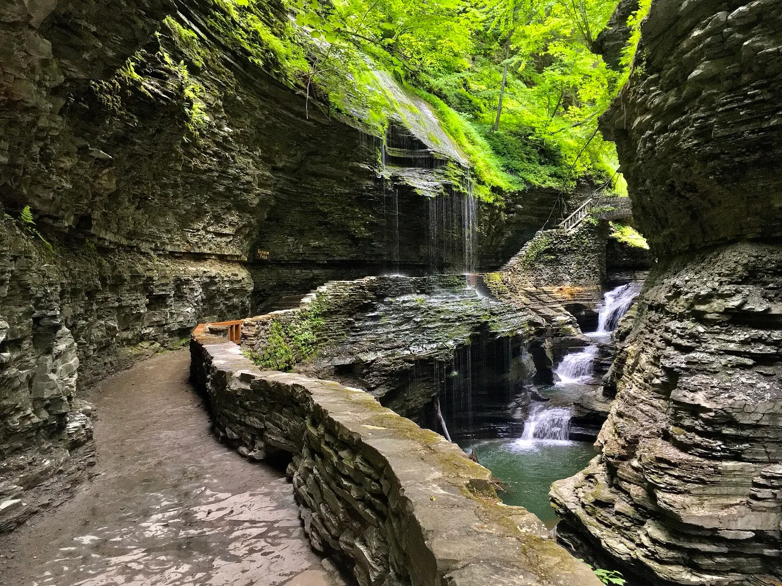 Stone path winding through the mossy gorge