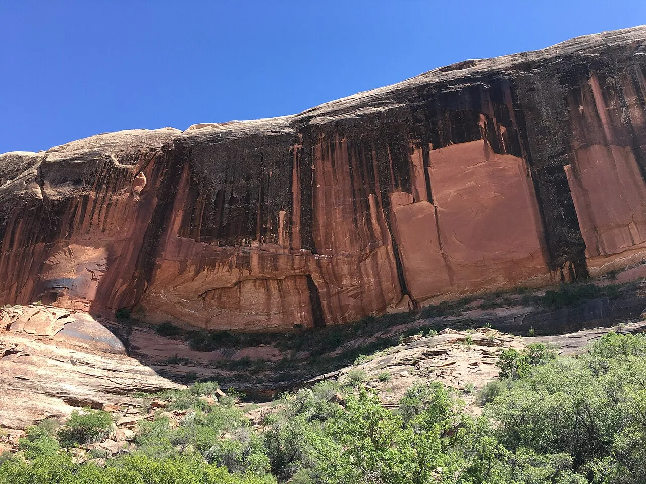 Rock walls above the Green River Photo by BLM employee Matt Blocker,