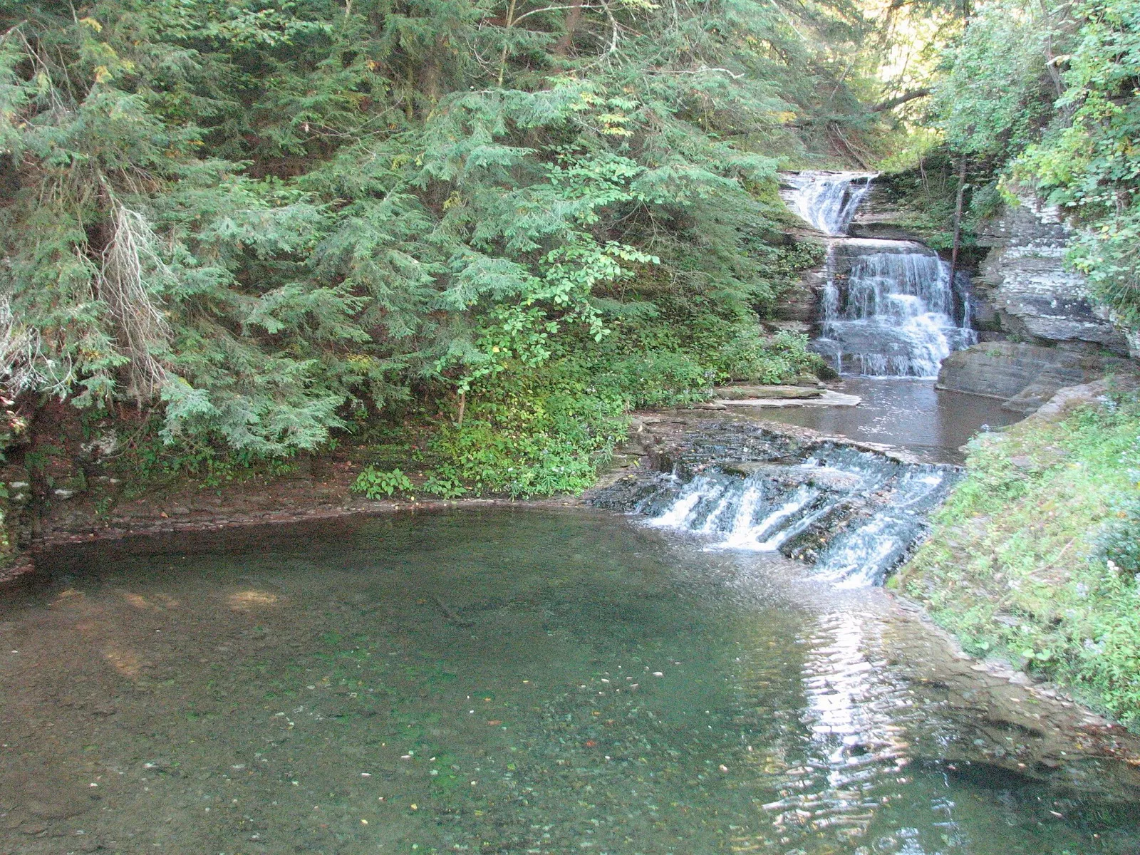 Cascades above a green pool in Enfield Gorge