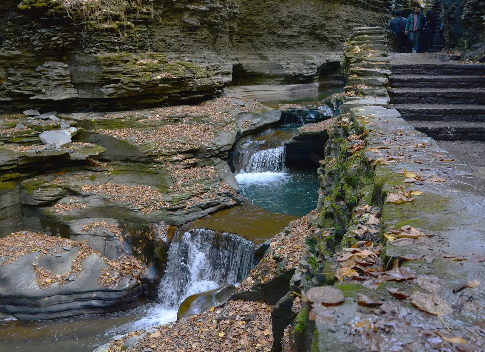 Turquoise pools in the gorge with fallen autumn leaves