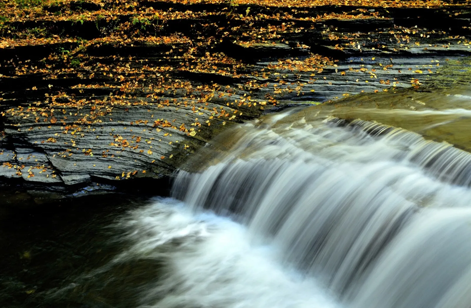 Water spilling over a shale ledge in the gorge (nearby Buttermilk Falls State Park)