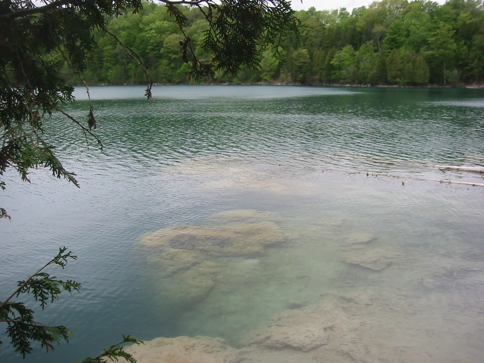 Clear green water off Deadman's Point on Green Lake