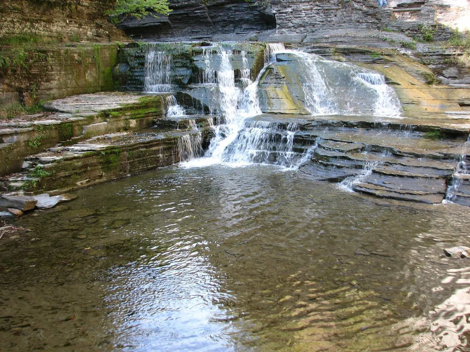 Enfield Creek tumbling over rock ledges